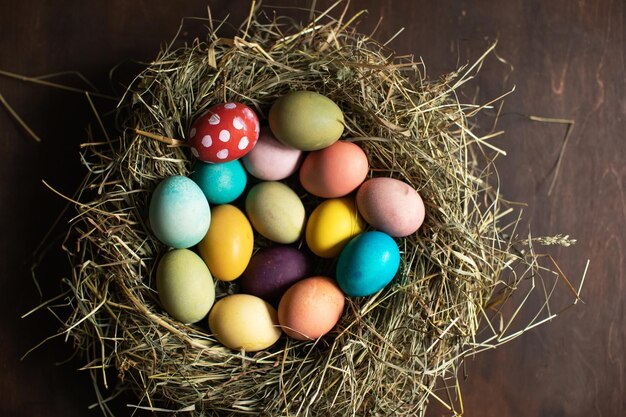 Joyeuses Pâques Oeufs de Pâques colorés dans un nid