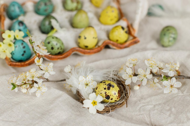 Joyeuses Pâques Oeufs de Pâques élégants et fleurs printanières en fleurs sur une table rustique Oeufs de caille peints naturels dans un plateau Plumes et fleurs de cerisier sur toile de lin Nature morte de Pâques rustique
