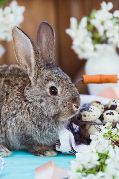 Joyeuses pâques - petit lapin avec un panier d'oeufs sur fond de fleurs de cerisier