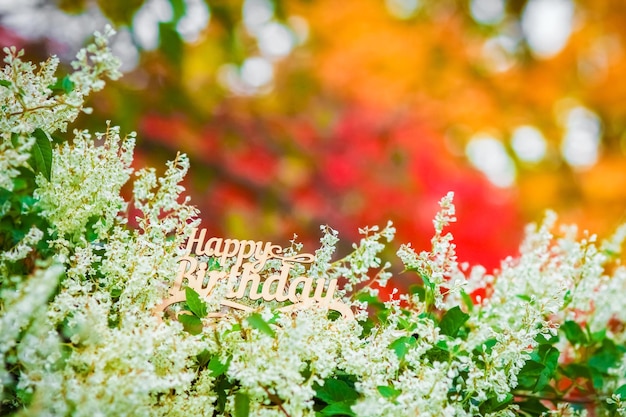 Un joyeux anniversaire à l'automne de fond de parc