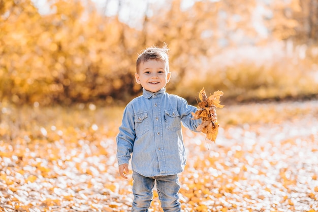 Joyeux garçon souriant jouant avec des feuilles d'automne dans le parc