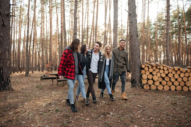 Joyeux groupe d'amis marchant à l'extérieur dans la forêt.