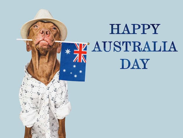 Joyeux jour de l'Australie Petit chien charmant et drapeau australien Vue rapprochée en studio félicitations pour la famille, les proches, les parents, les amis et les collègues