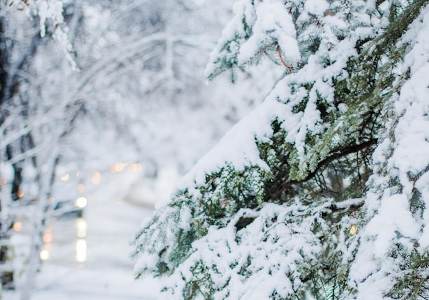 Ce joyeux jour d'hiver