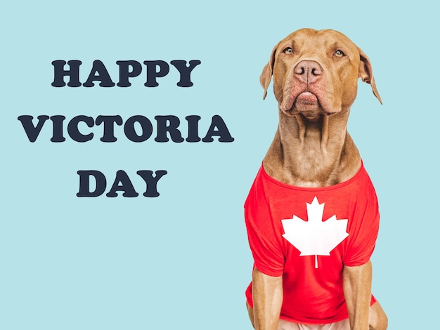 Photo joyeux jour de victoria, mignon chiot et drapeau canadien.