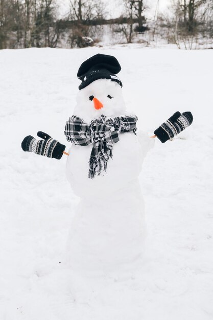 Joyeux Noël et bonne année carte de voeux avec copyspaceJoyeux bonhomme de neige debout dans le paysage de Noël d'hiverFond de neige