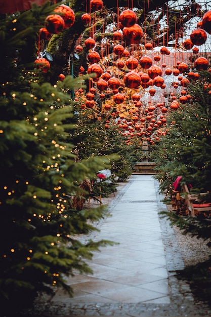 Joyeux Noël dans le pays des merveilles hivernales d'Autriche