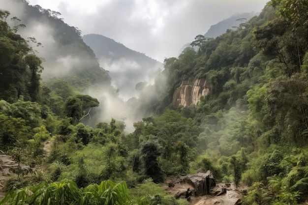 Jungle enfumée avec vue sur la chute d'eau et les nuages brumeux dans le ciel