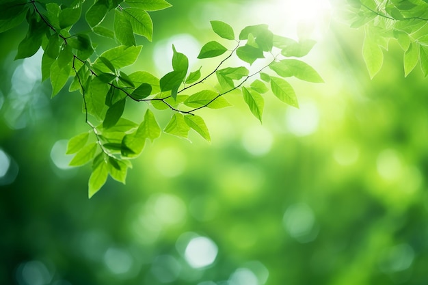 Photo la jungle floue abstrait le feuillage vert et les arbres