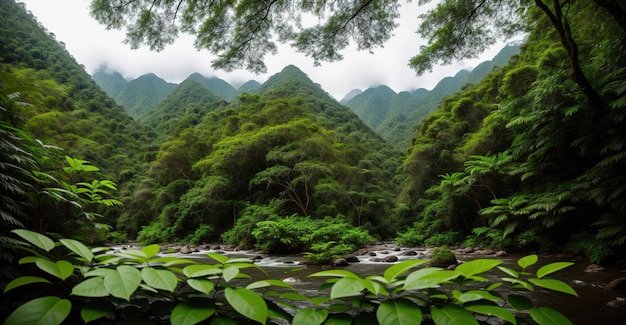 Jungle paysage rivière montagne Generative AI