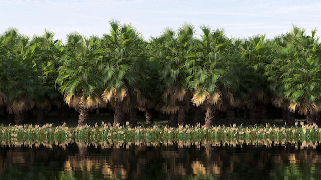 Jungle tropicale sur la rive du fleuve 3D illustration cg render