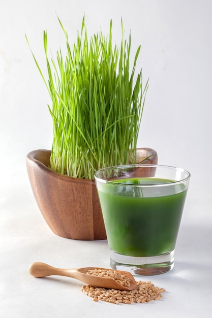 Jus d&#39;herbe de blé sur fond blanc