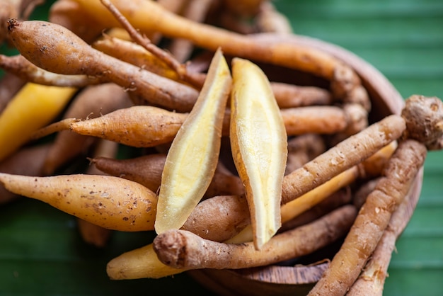 Kaempfer root food phytothérapie nature Fingerroot Chinese Ginger, Galingale, Kaempfer