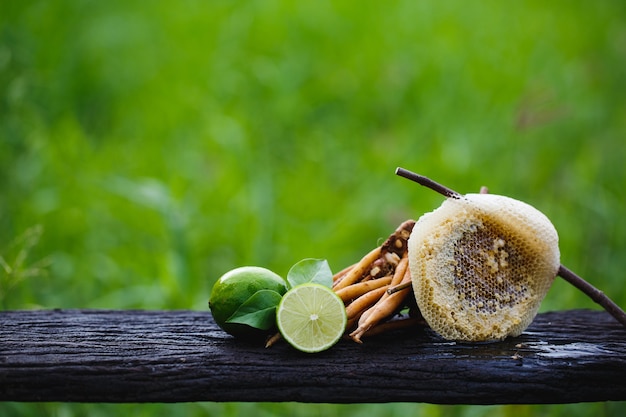 Kaempferia, miel et herbes de citron pour prévenir le covid-19