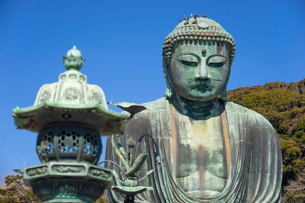 Photo kamakura daibutsu avec un ciel bleu