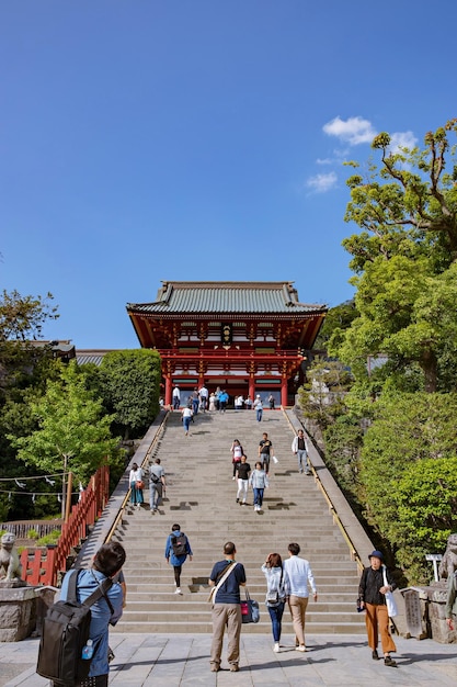 Photo kamakura, japon - 16 mai 2019 : sanctuaire et jardins de tsurugaoka hachimangu à kamakura, au japon.