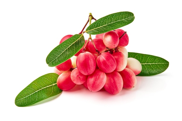 Photo karonda et feuilles isolées sur fond blanc karonda est un fruit du groupe des baies a un goût acide nom scientifique carissa carandas carunda christs épine bengale currants