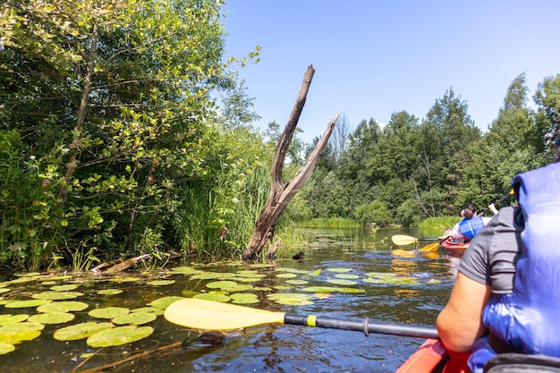 un kayak avec une eau bleue et des feuilles vertes en arrière-plan.