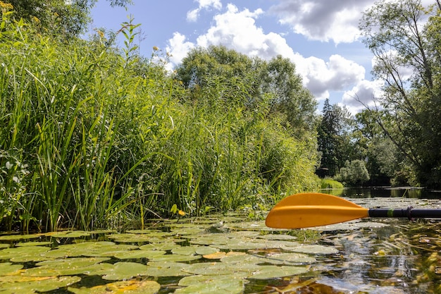 un kayak est sur l'eau avec des nénuphars.