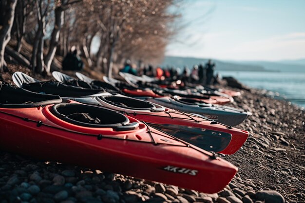 Des kayaks alignés sur le rivage