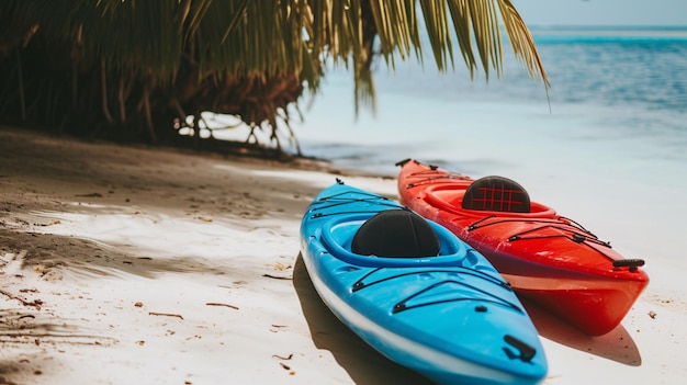 Des kayaks aux couleurs vives parsement la côte sablonneuse d'un paradis tropical.