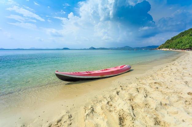 Kayaks de mer sur la plage de sable en été ensoleillé