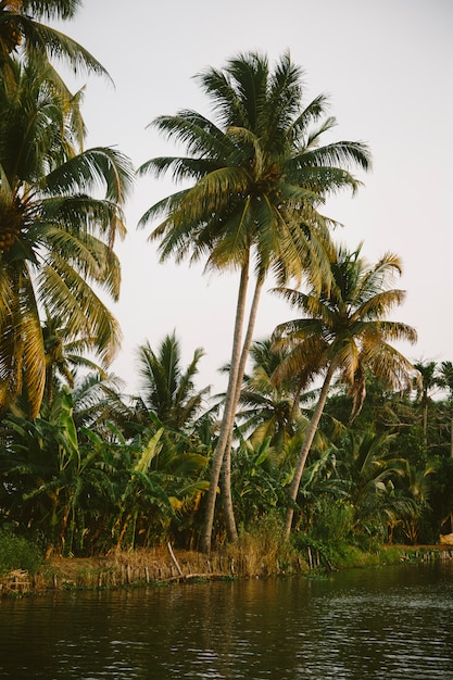 Kerala, Inde