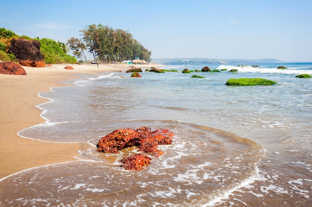 Keri ou Kerim ou Querim beach dans le nord de Goa, Inde