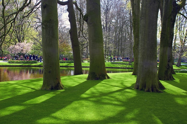 Keukenhof, Pays-Bas - 13 mars 2019