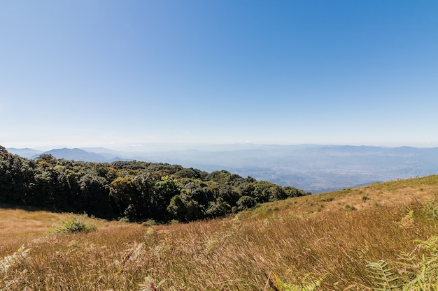 Kew Mae Pan Nature Trail dans le parc national de Doi Inthanon à Chiang Mai, Thaïlande