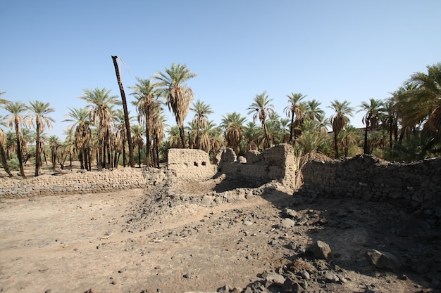 Khaybar au nord de Médine dans le Hedjaz