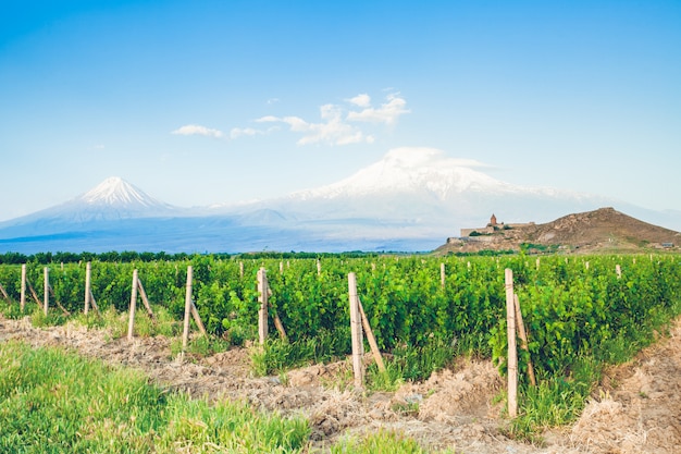 Khor Virap et le mont Ararat