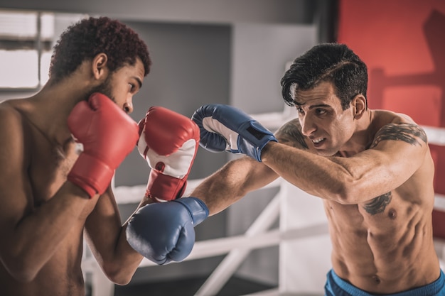 Kick-boxing. Deux jeunes kickboxers s'entraînant et semblant impliqués