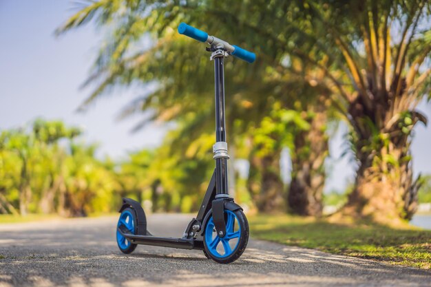 Kick scooter dans l'activité de plein air du parc pour les enfants sur le sport actif de la rue résidentielle en toute sécurité pour