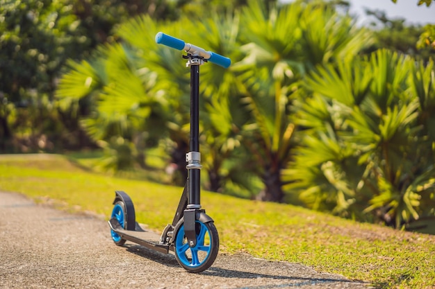 Kick scooter dans l'activité de plein air du parc pour les enfants sur le sport actif de la rue résidentielle en toute sécurité pour