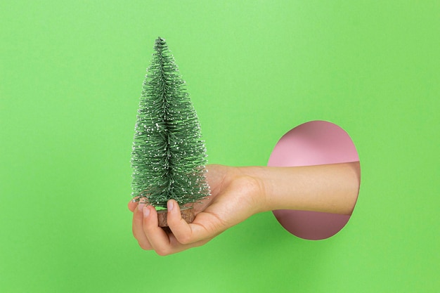 Kid holding décoration petit sapin de Noël vert à la main à travers le trou sur fond vert clair