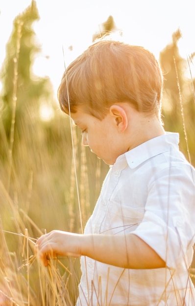 Kid in field jouant avec des pointes au coucher du soleil d'été