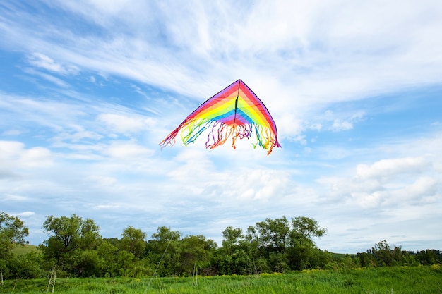 Kite voler sur ciel bleu avec des nuages blancs et champ vert en été