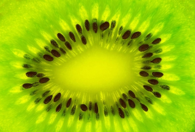 kiwi