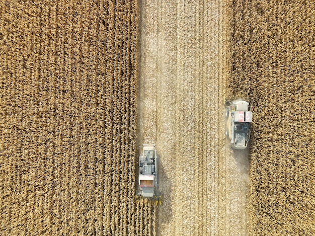 Konya - Turquie, 12 novembre 2022, vue aérienne avec drone de séquences de récolte de maïs dans un champ de maïs.