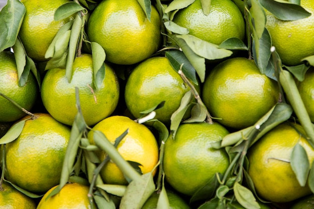 Kumquats sur le marché