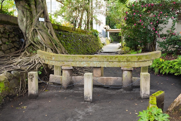 Kurojin a enterré un torii dans un parc