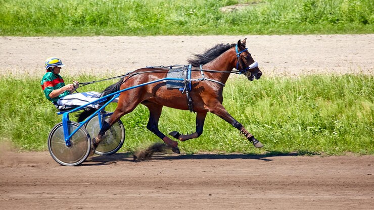 Kyiv Ukraine 6 août 2023 Trotteurs de course de l'hippodrome