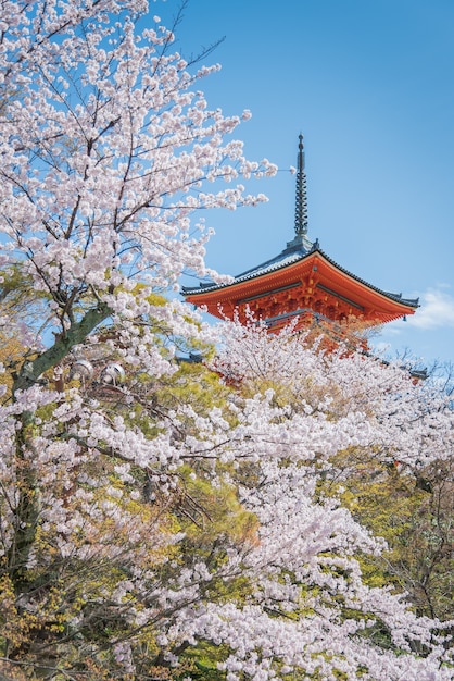 Kyoto, Japon au temple Kiyomizu-dera au printemps