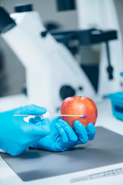 Laboratoire d'analyse de la salubrité des aliments Biochimiste à la recherche de la présence de pesticides dans les pommes