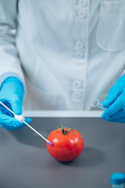 Laboratoire d'analyse de la sécurité alimentaire Biochimiste à la recherche de la présence de pesticides dans les tomates