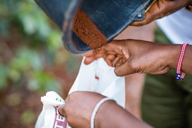 Laboratoire d'essai de collecte de café dans le sol au Kenya