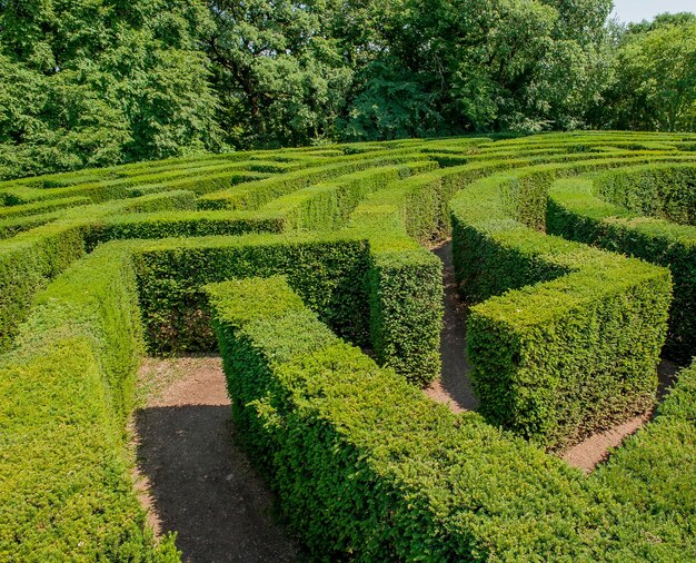 Labyrinthe dans le jardin botanique