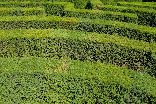 Labyrinthe