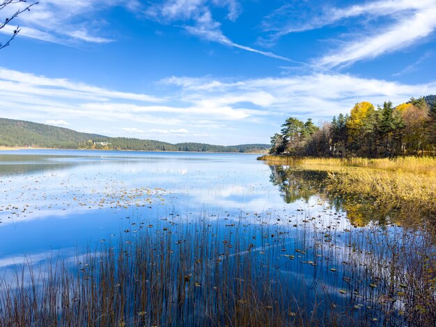 Photo lac d'abant et paysage d'automne. parc national d'abant - bolu, turquie